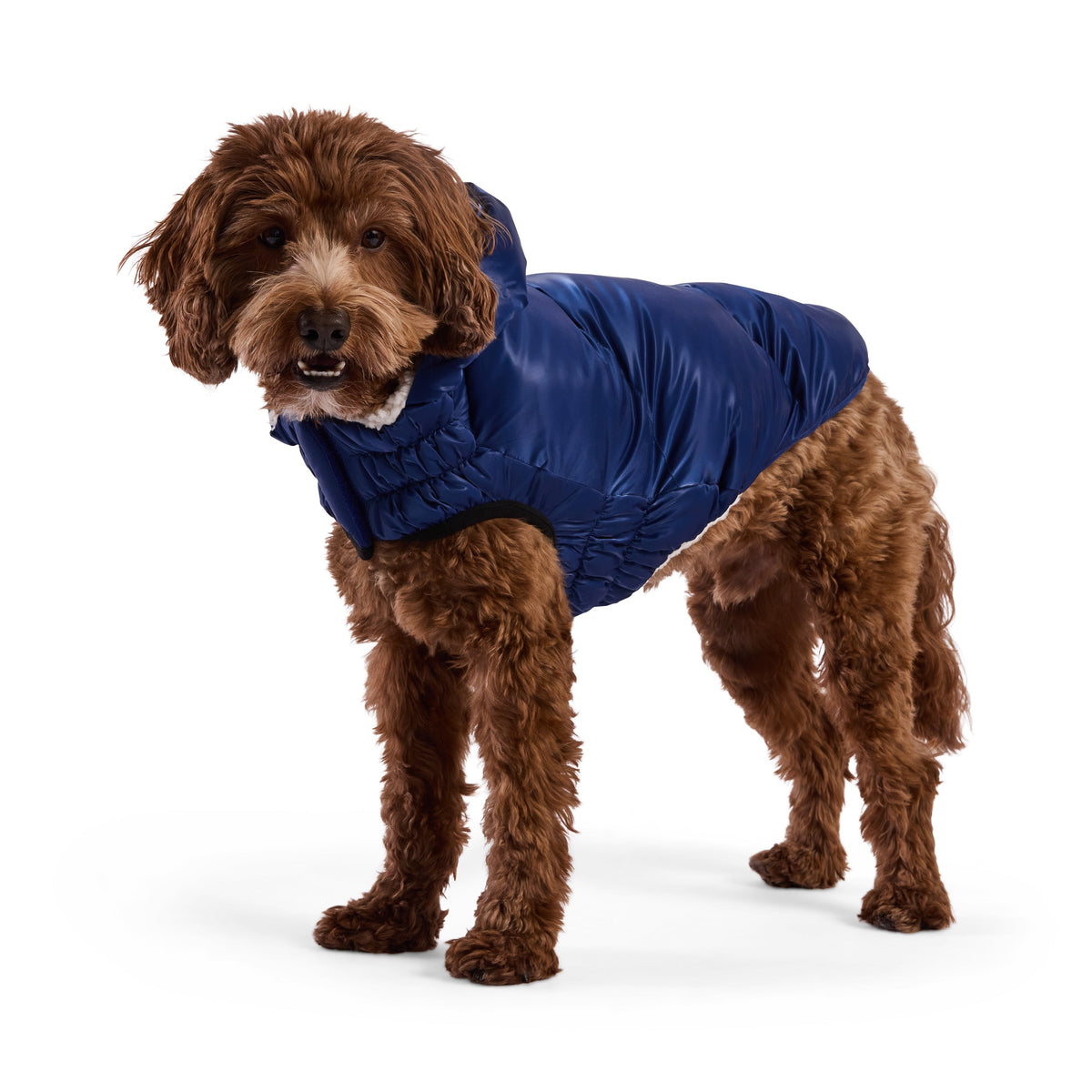 GF PET Lunar Glow Dog Parka