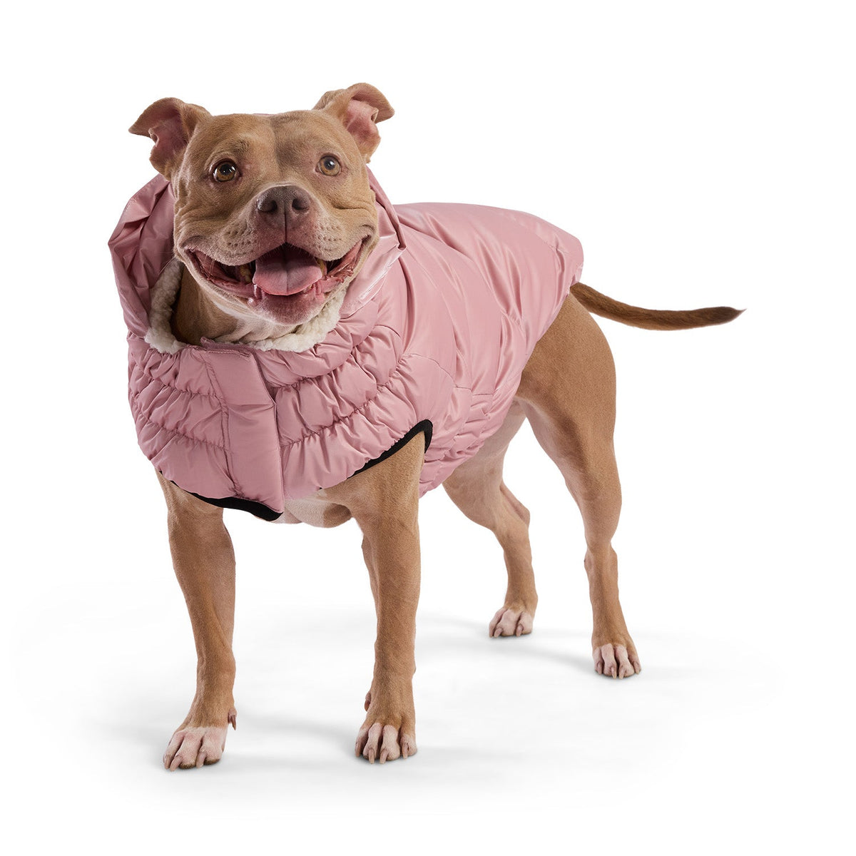 GF PET Lunar Glow Dog Parka