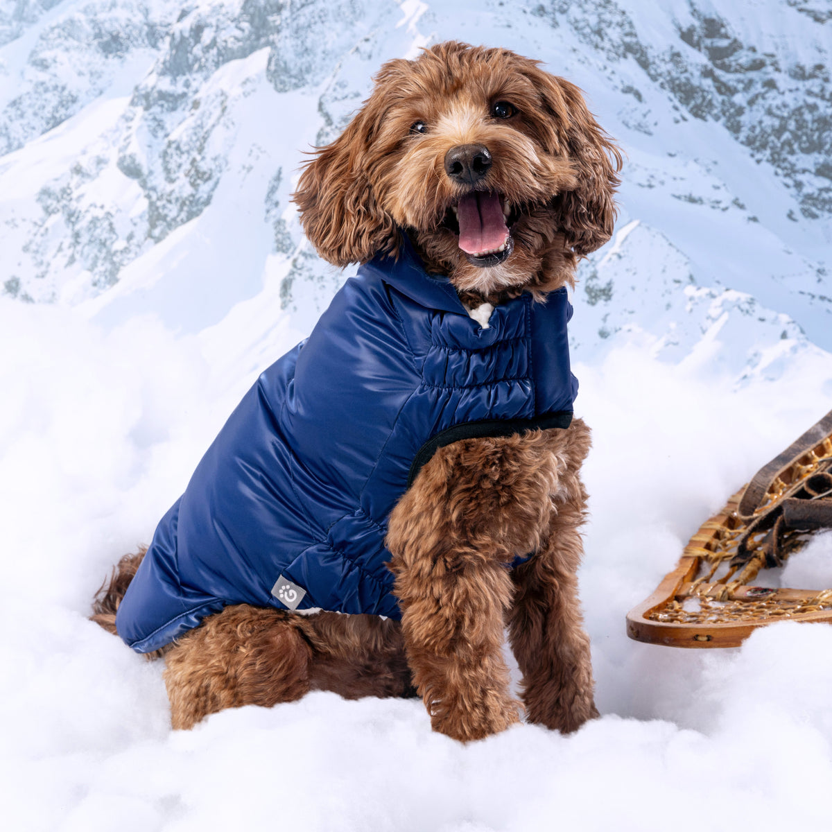 GF PET Lunar Glow Dog Parka