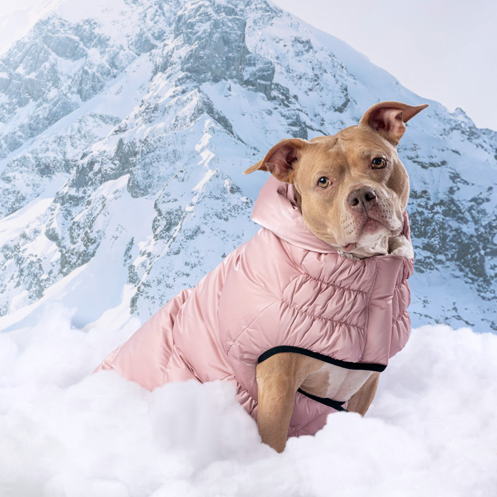 GF PET Lunar Glow Dog Parka