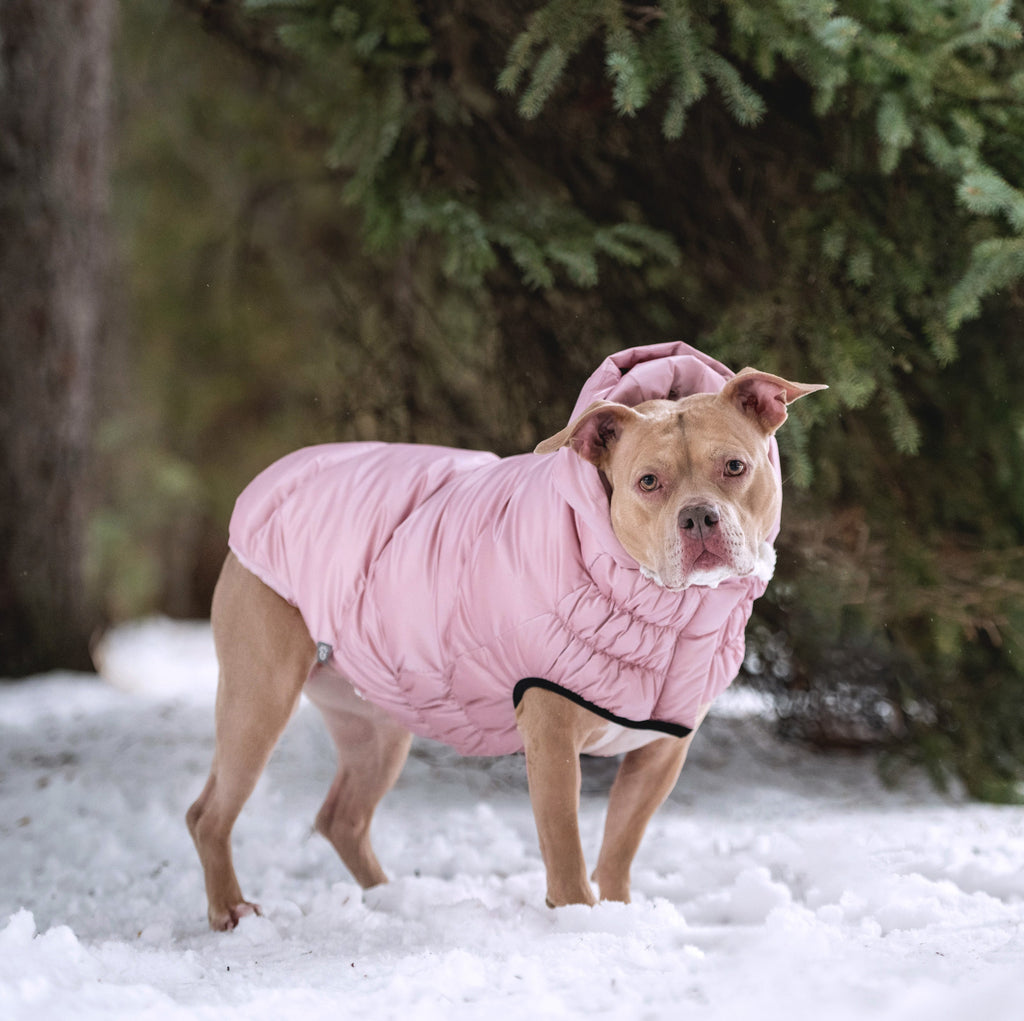 GF PET Lunar Glow Dog Parka