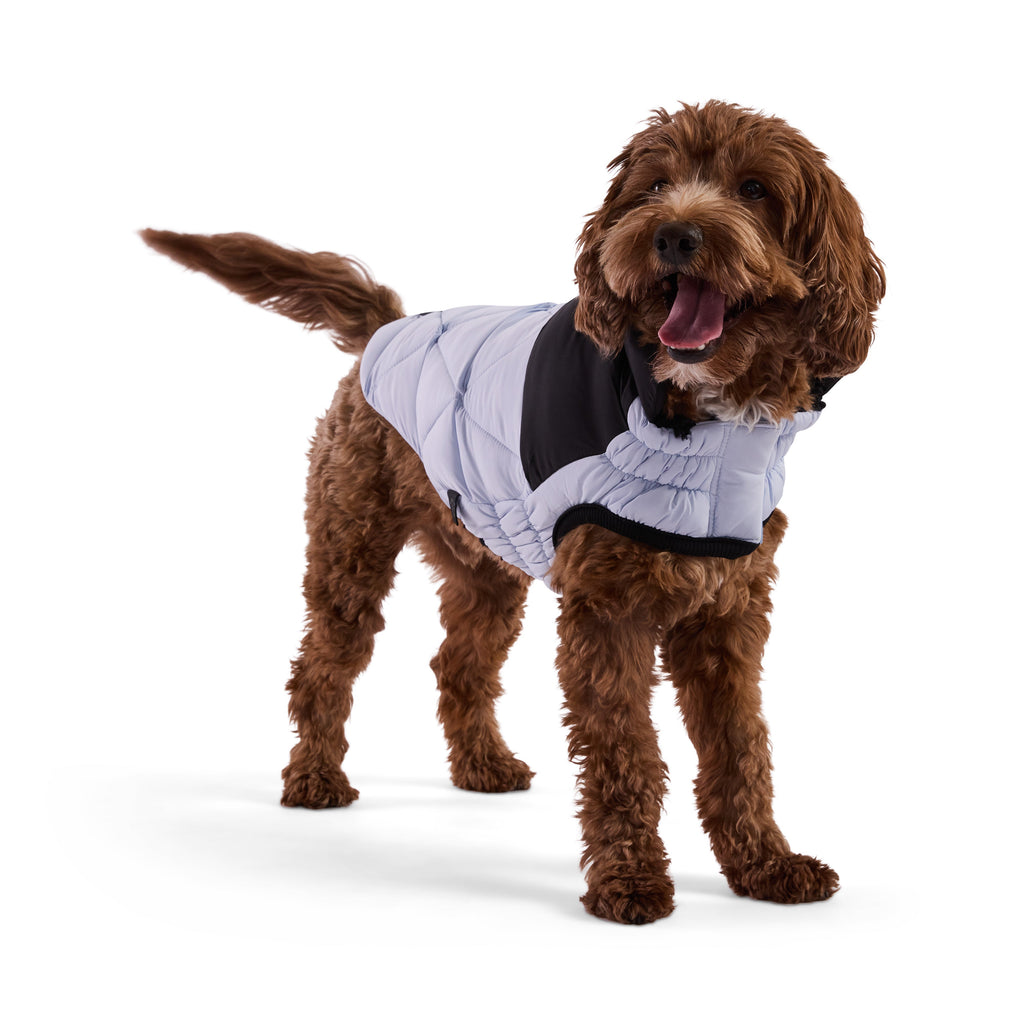 GF PET Diamond Dog Puffer Jacket