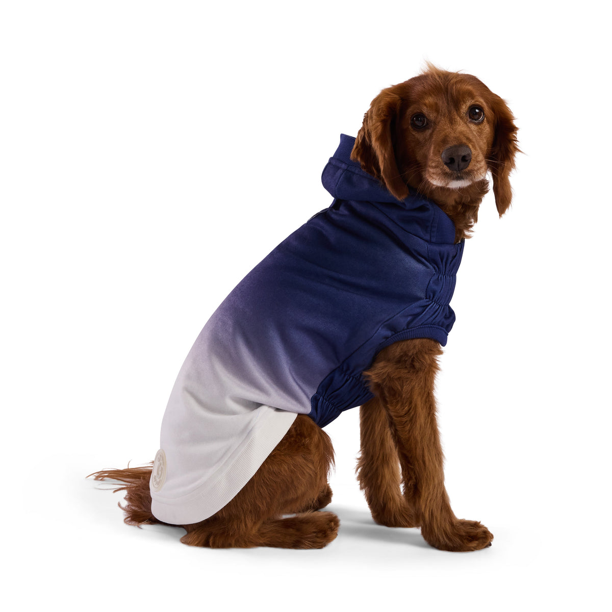 GF PET Good Vibes Dog Hoodie