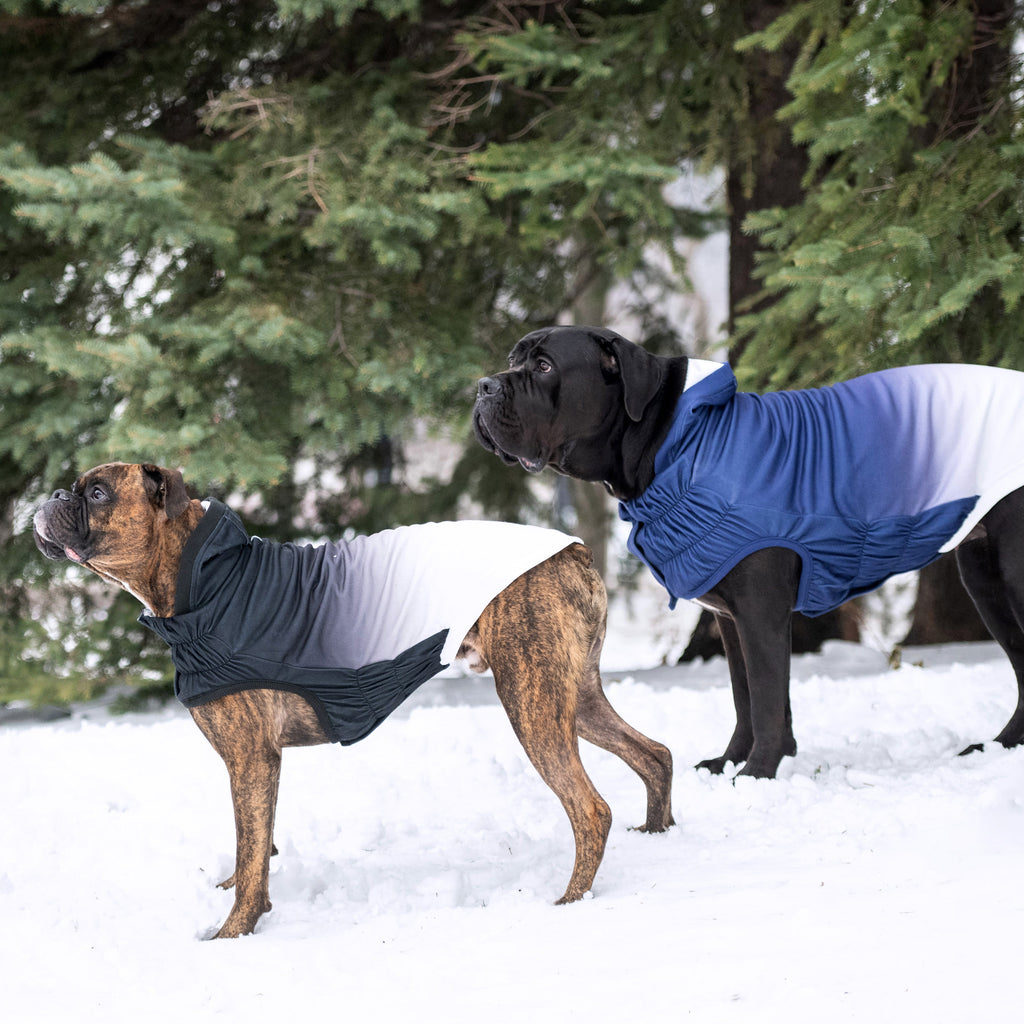 GF PET Good Vibes Dog Hoodie