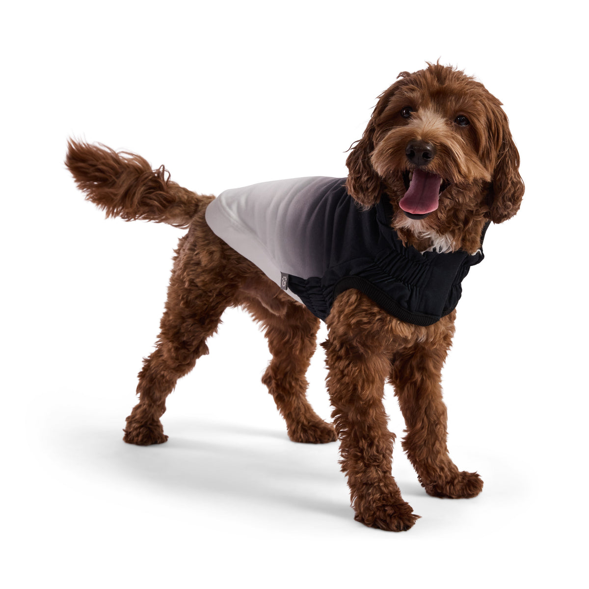 GF PET Good Vibes Dog Hoodie