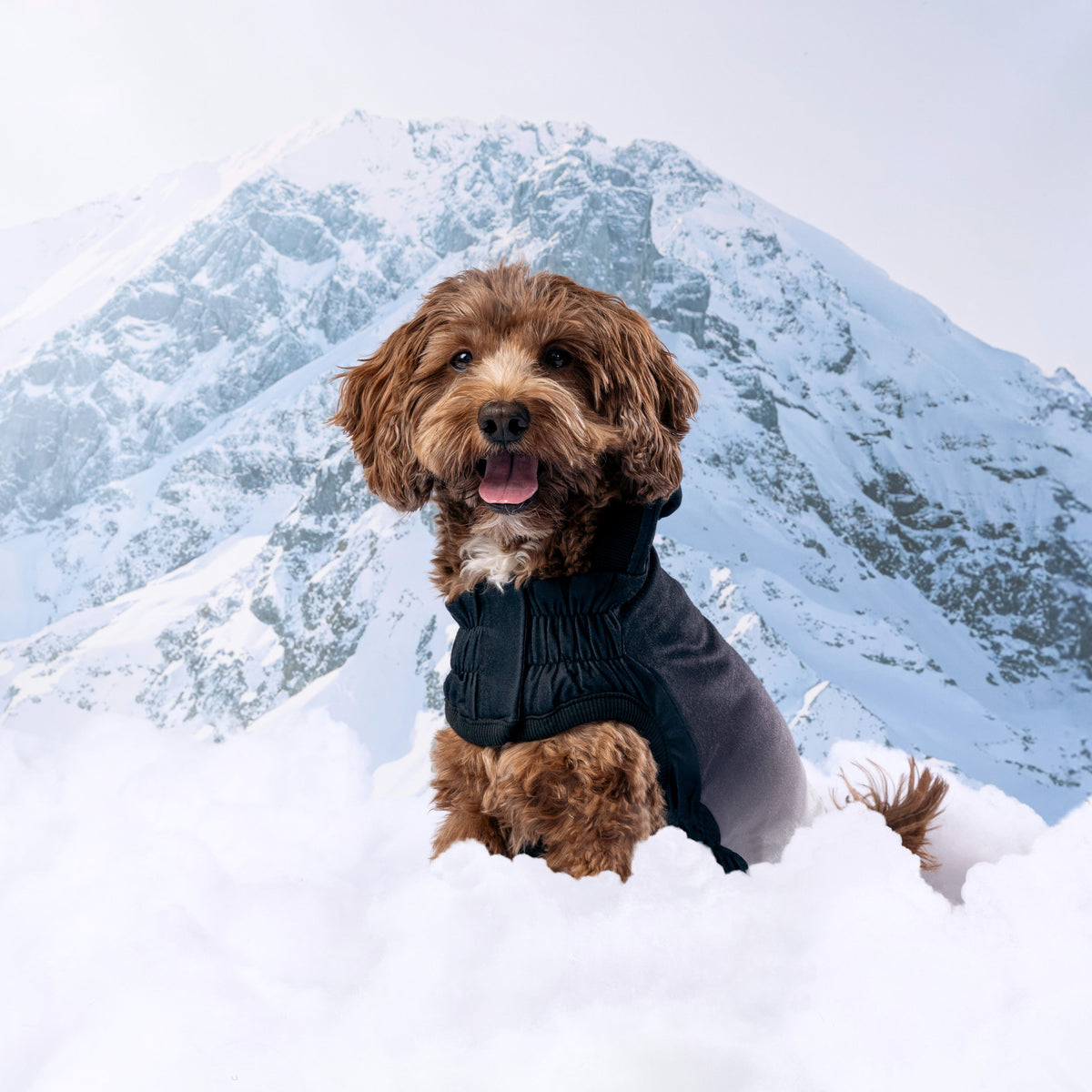 GF PET Good Vibes Dog Hoodie