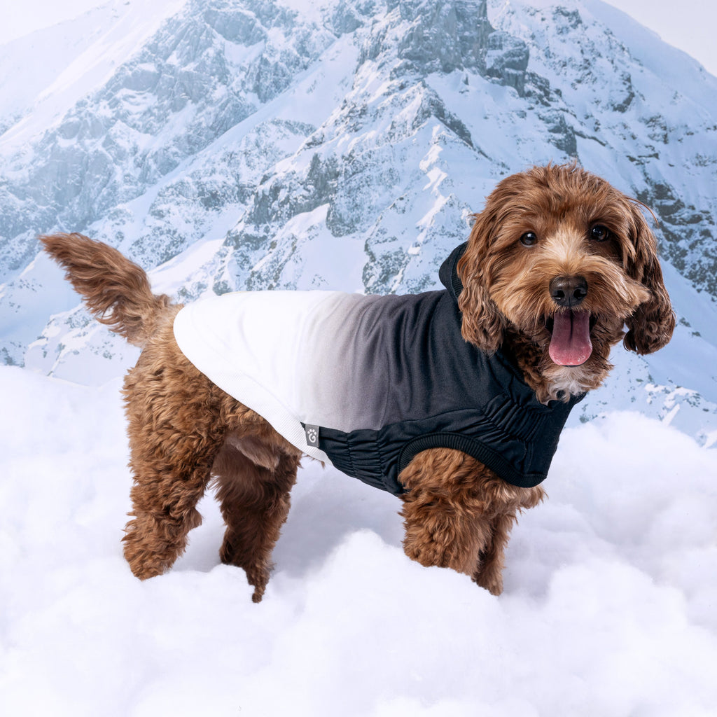 GF PET Good Vibes Dog Hoodie