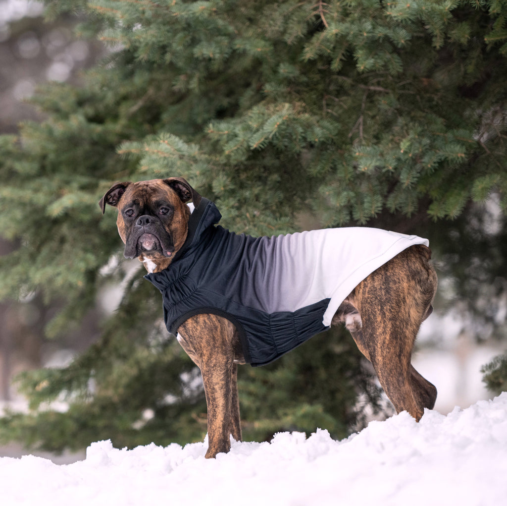 GF PET Good Vibes Dog Hoodie