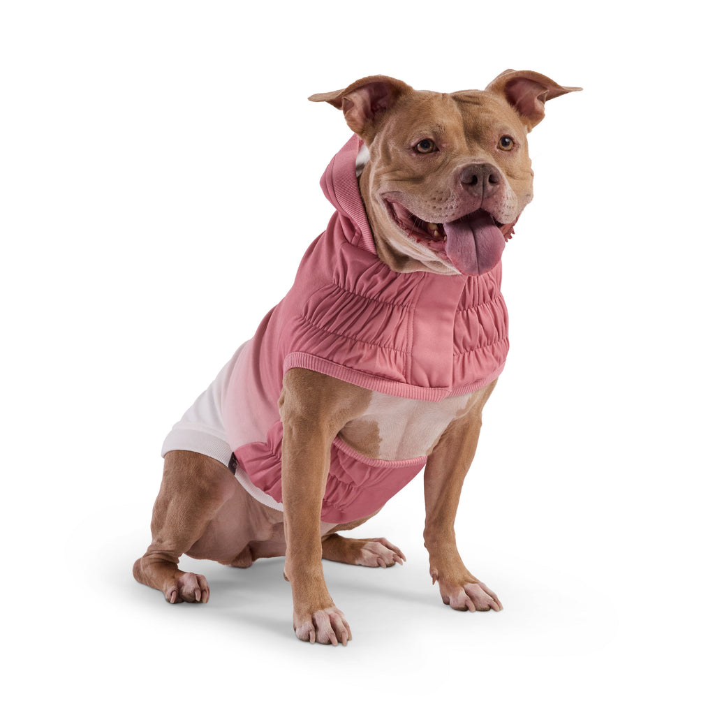 GF PET Good Vibes Dog Hoodie