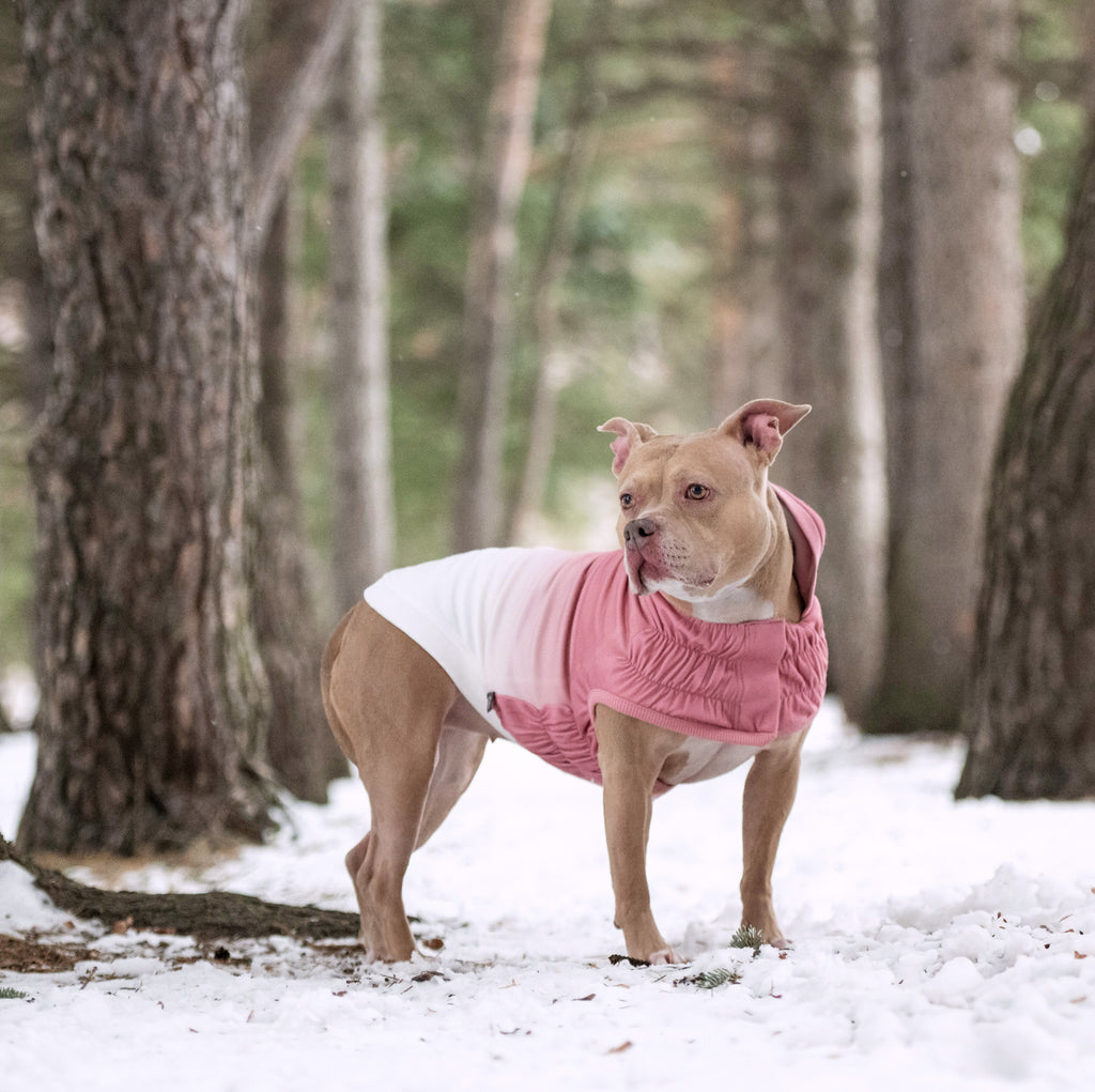 GF PET Good Vibes Dog Hoodie