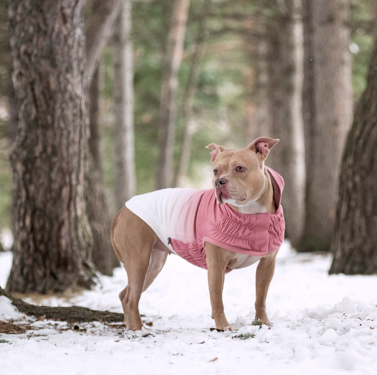 GF PET Good Vibes Dog Hoodie