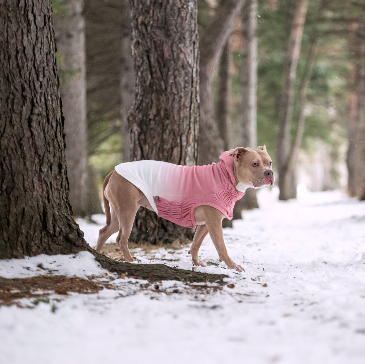 GF PET Good Vibes Dog Hoodie