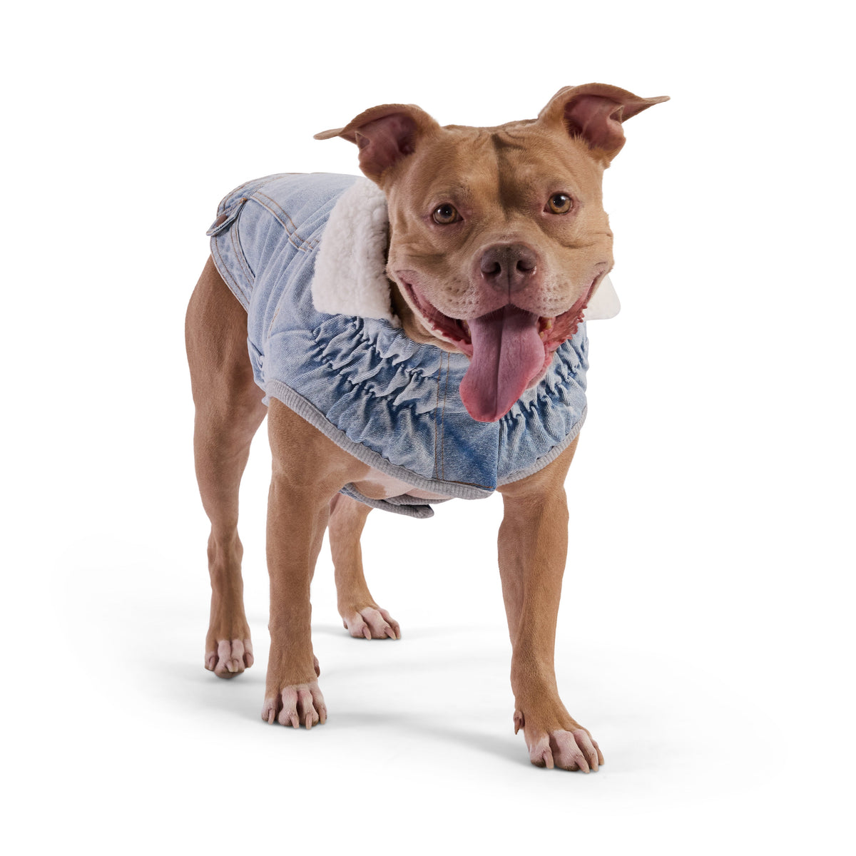 GF PET Northside Denim Dog Jacket - Light Wash