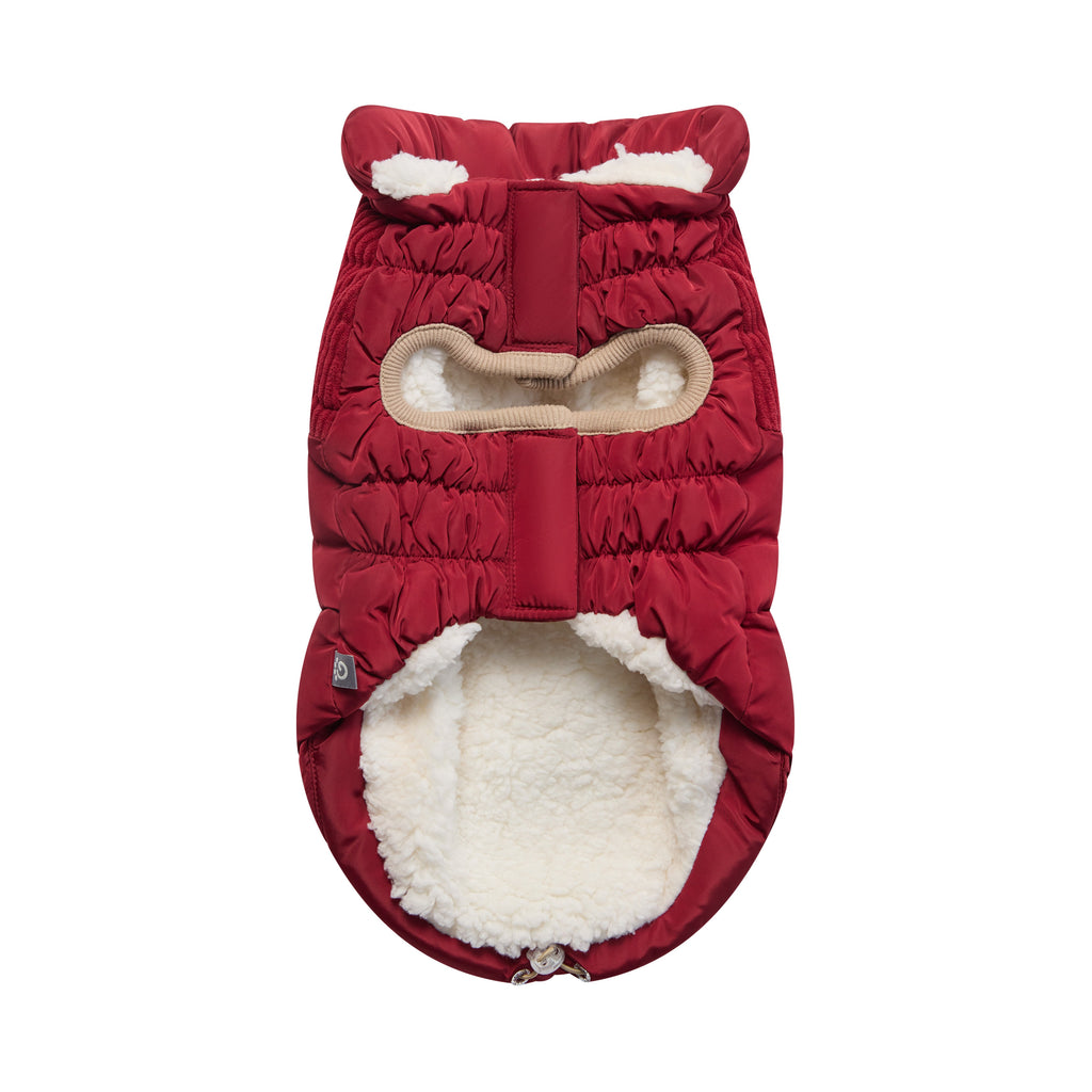 GF PET Cold Mountain Dog Puffer Jacket