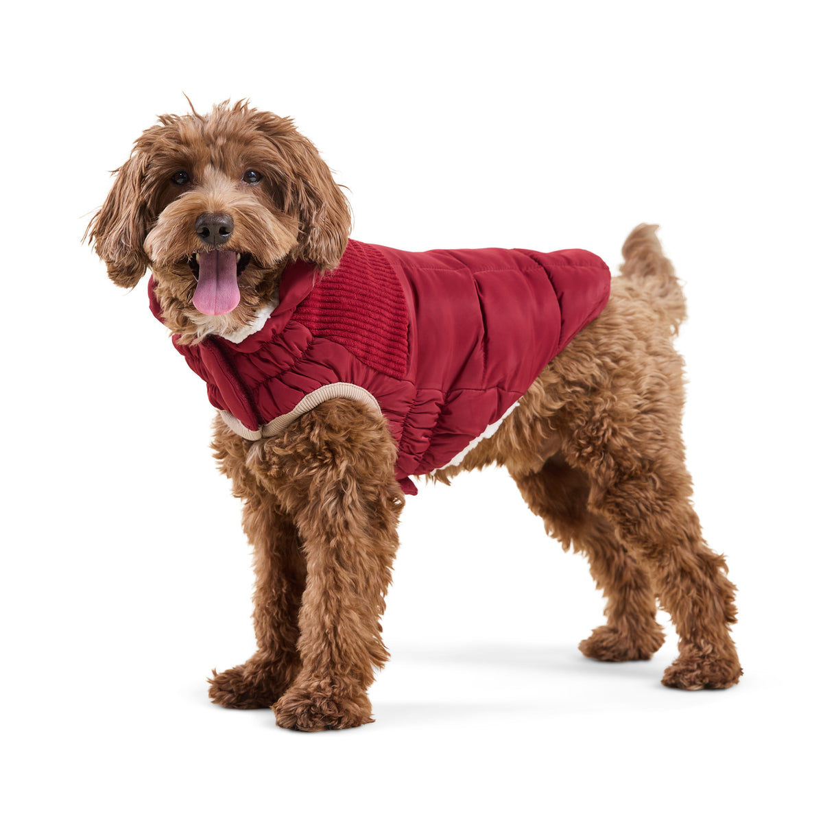 GF PET Cold Mountain Dog Puffer Jacket