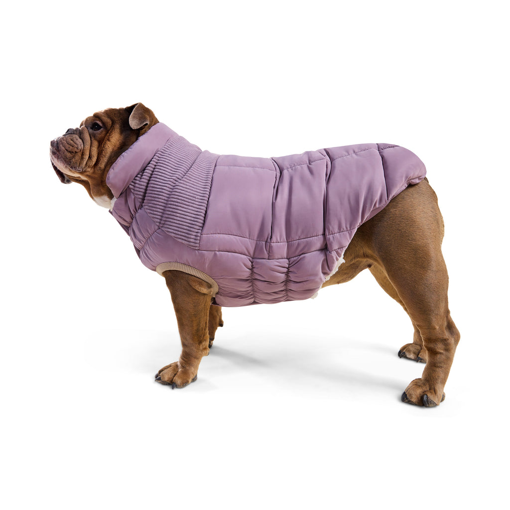 GF PET Cold Mountain Dog Puffer Jacket