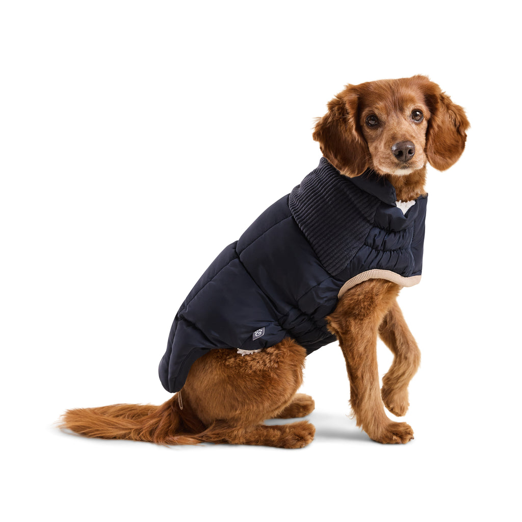 GF PET Cold Mountain Dog Puffer Jacket