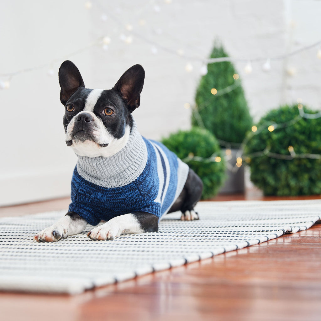 GF PET Trekking Dog Sweater - Blue