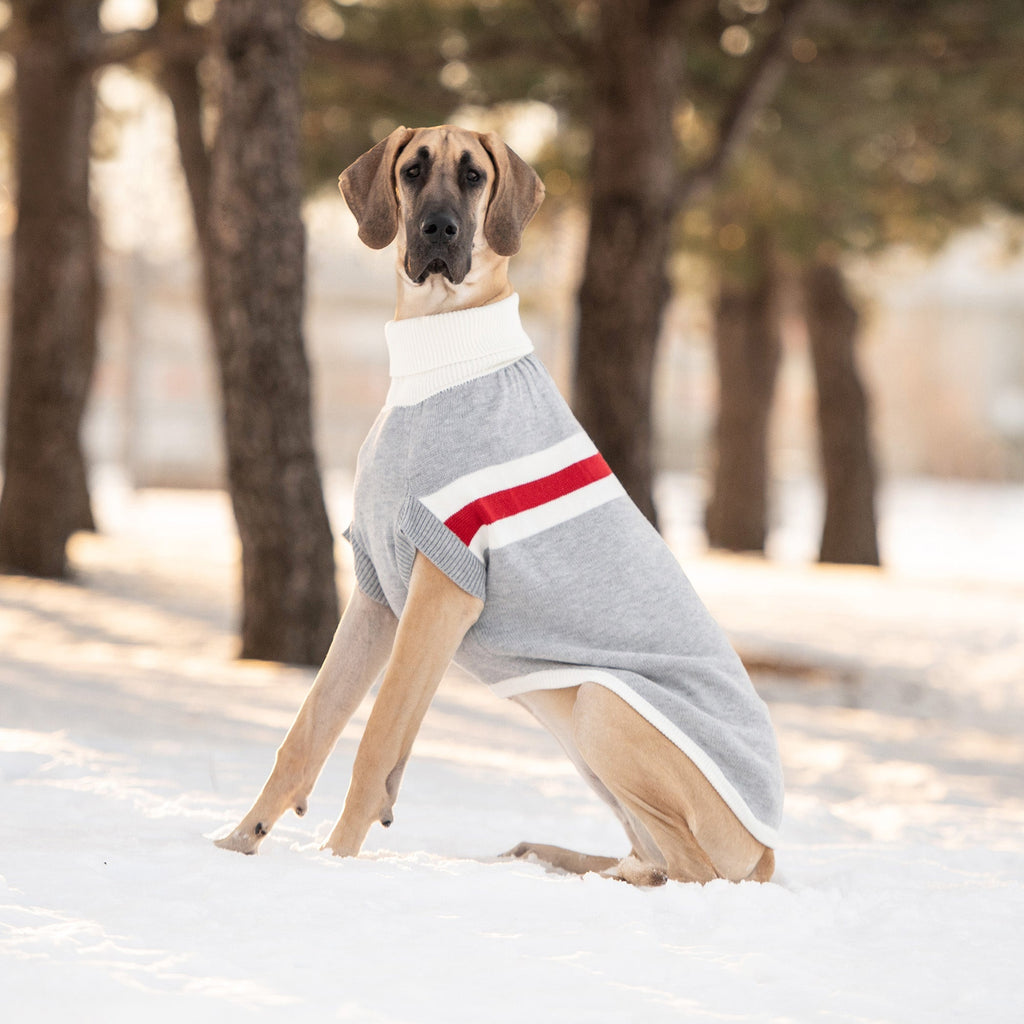 GF PET Trekking Dog Sweater - Grey Mix