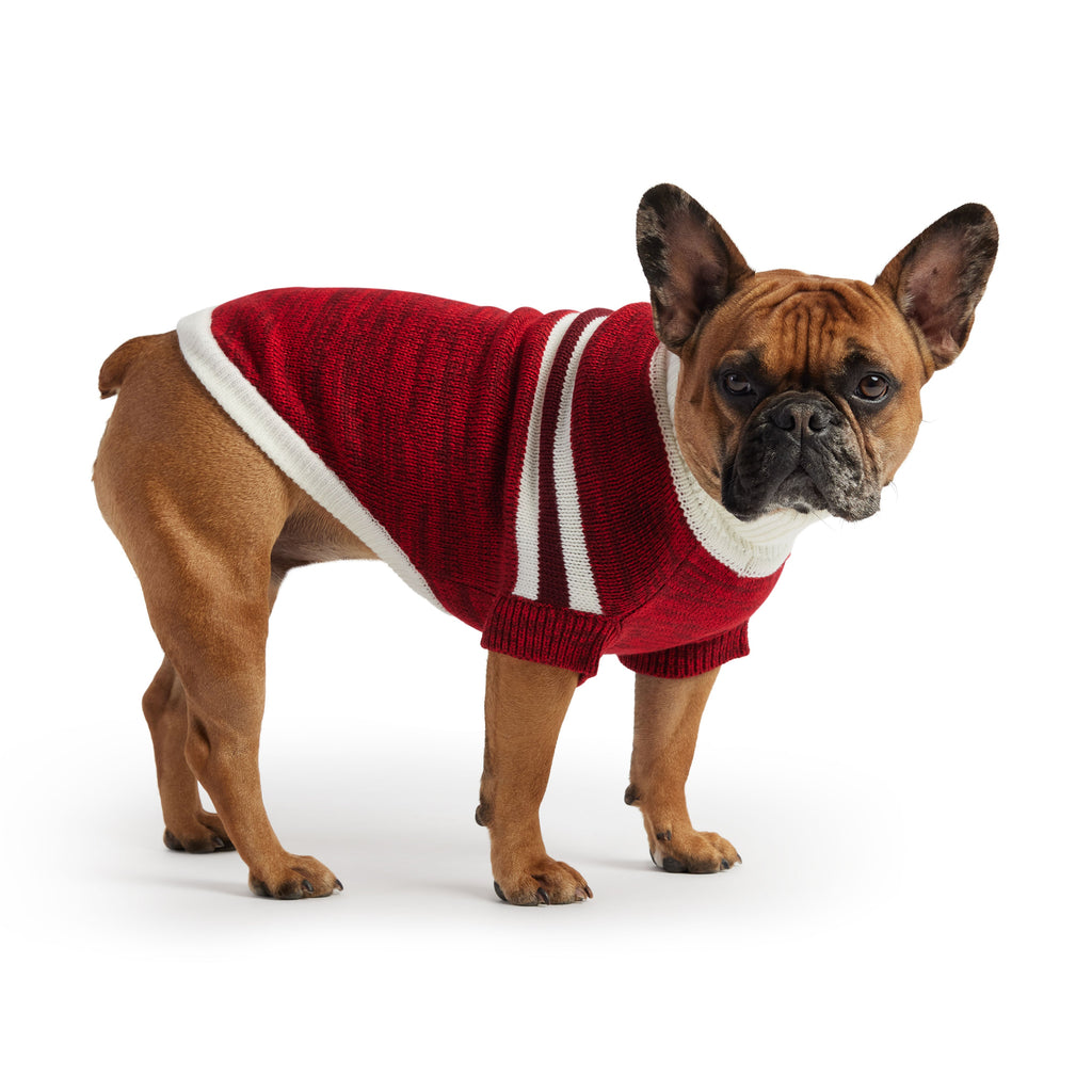 GF PET Trekking Dog Sweater - Red