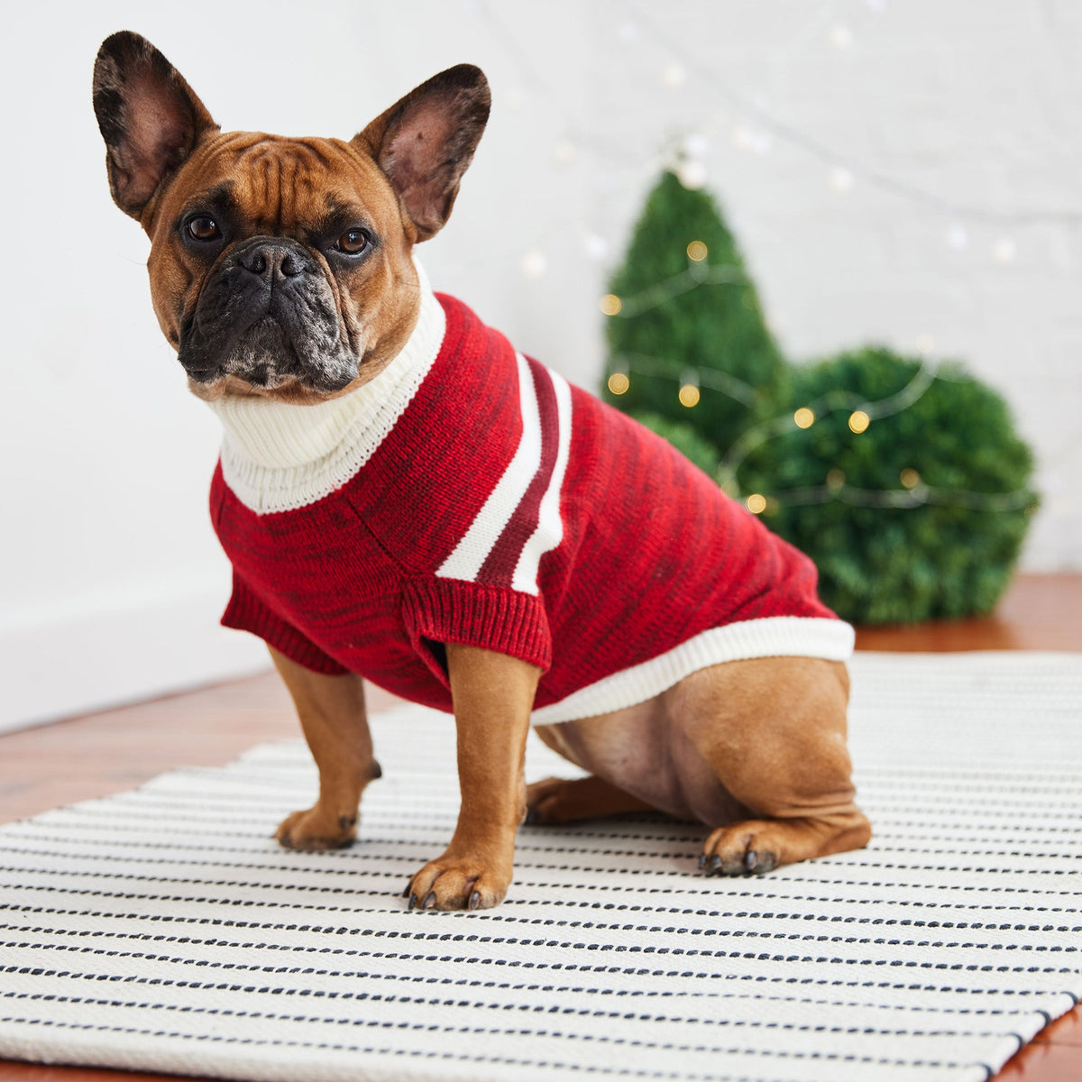 GF PET Trekking Dog Sweater - Red