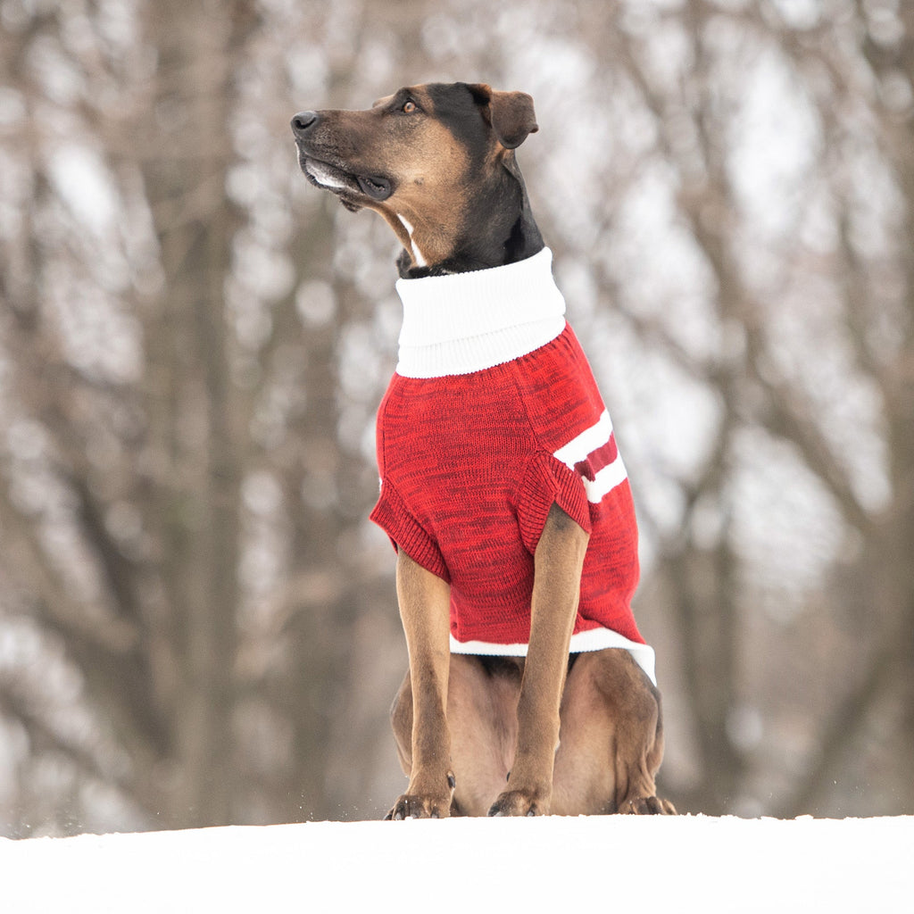 GF PET Trekking Dog Sweater - Red