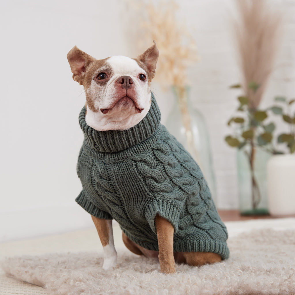 GF PET Chalet Dog Sweater - Sage