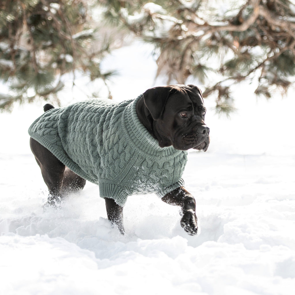 GF PET Chalet Dog Sweater - Sage