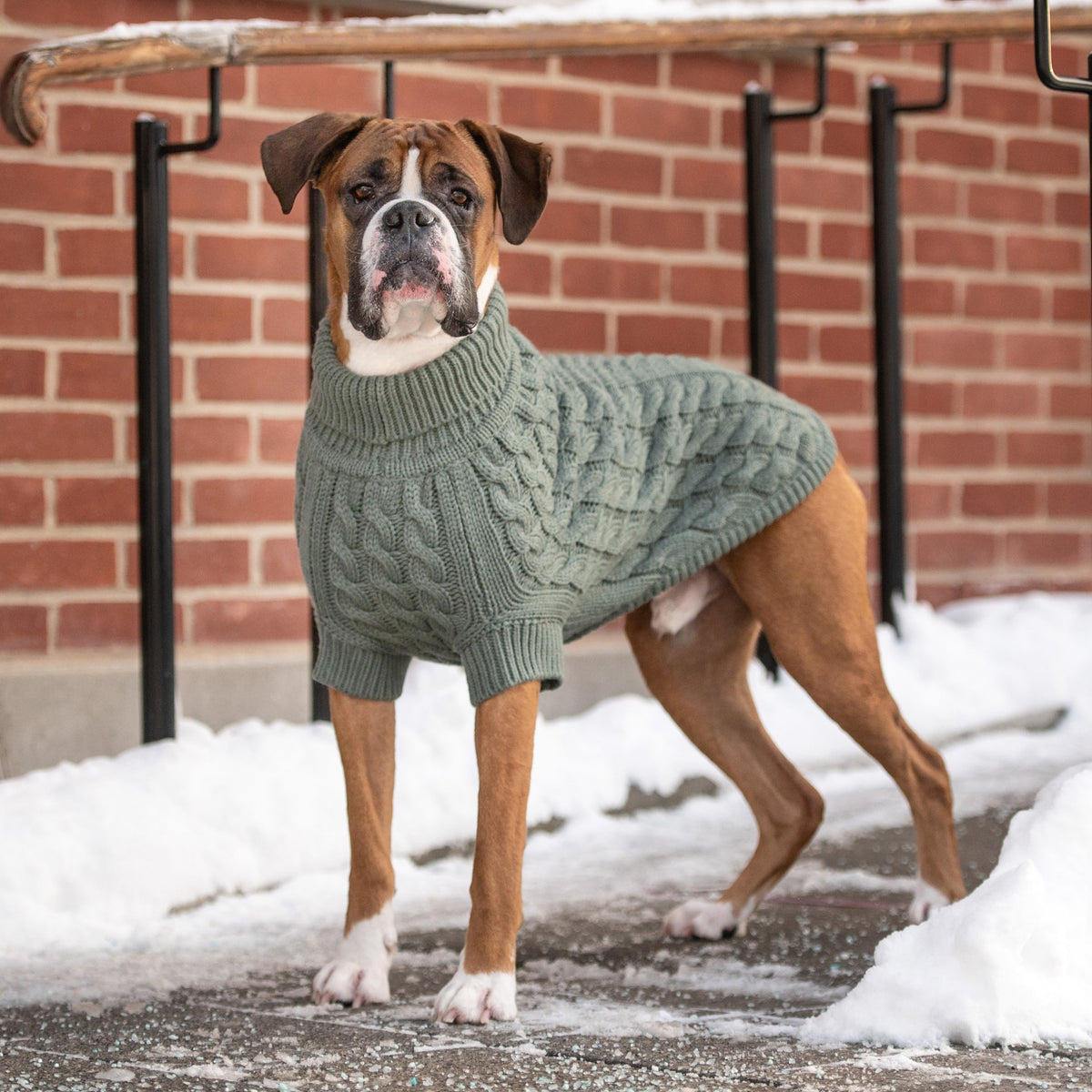 GF PET Chalet Dog Sweater - Sage