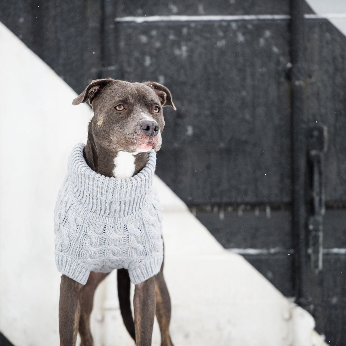 GF PET Chalet Dog Sweater - Grey