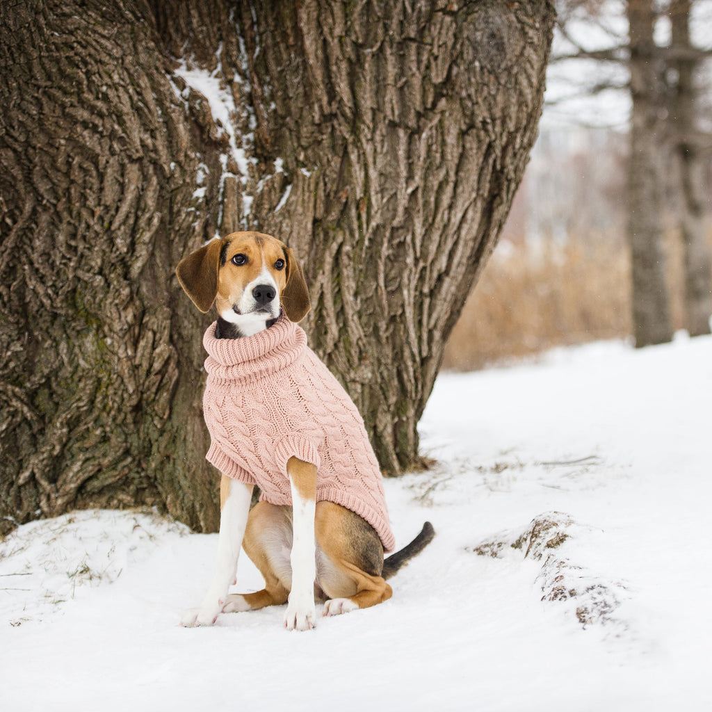 GF PET Chalet Dog Sweater - Pink