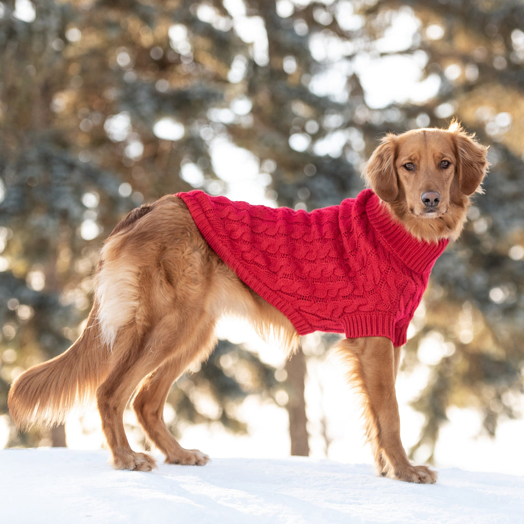 GF PET Chalet Dog Sweater - Red