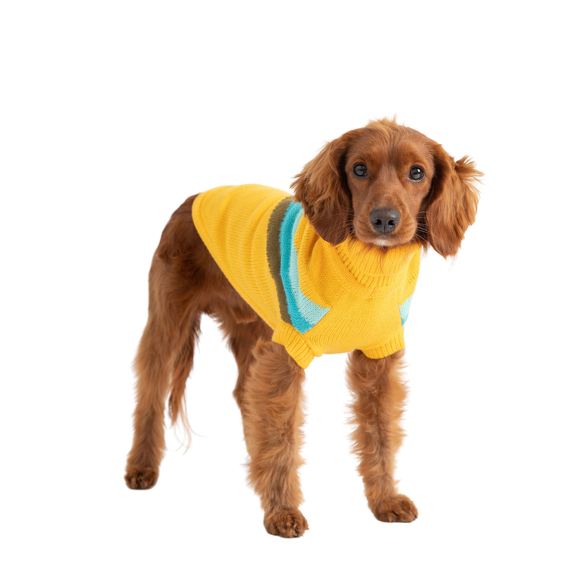 GF PET Alpine Dog Sweater - Yellow