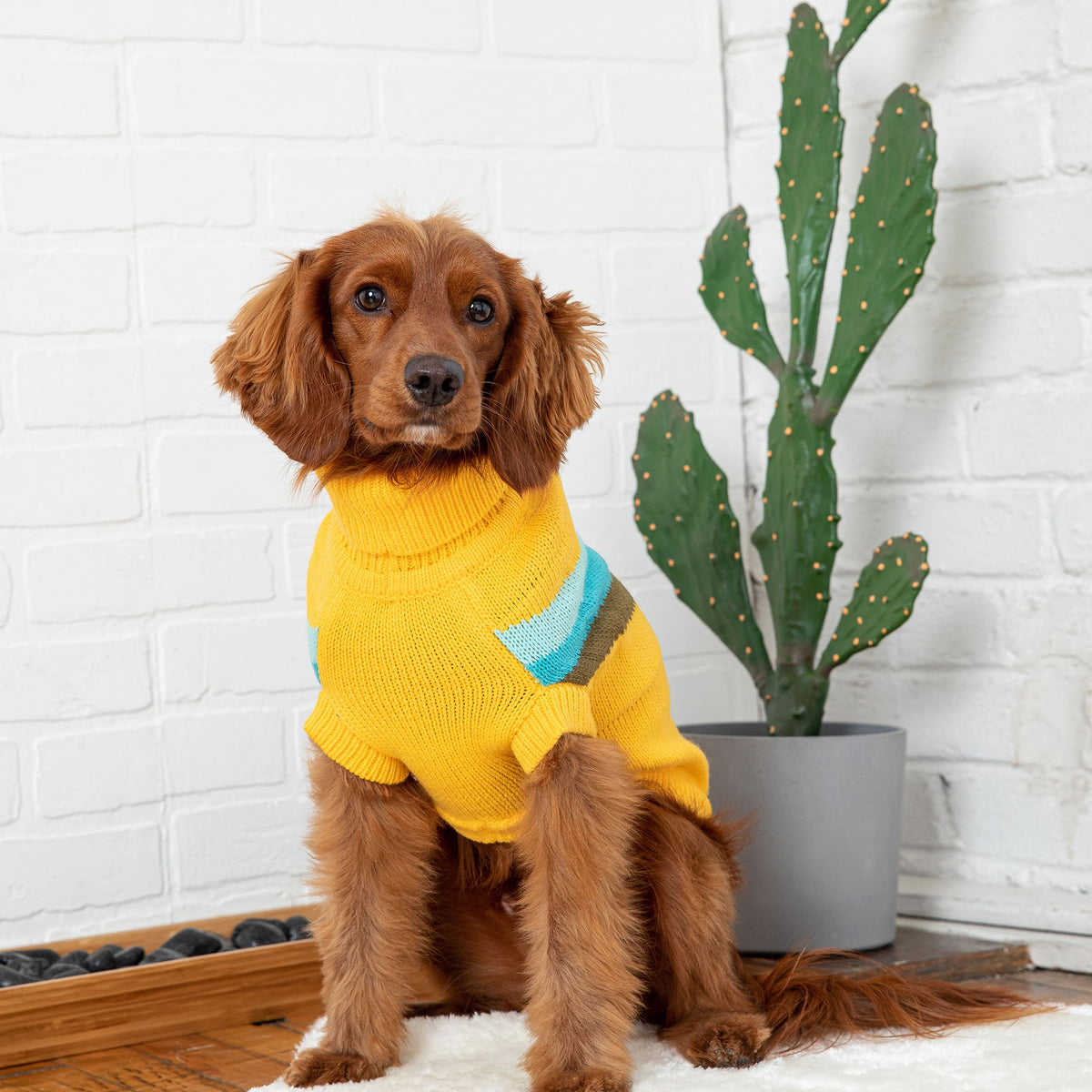 GF PET Alpine Dog Sweater - Yellow