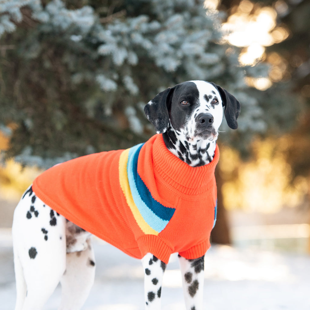 GF PET Alpine Dog Sweater - Orange