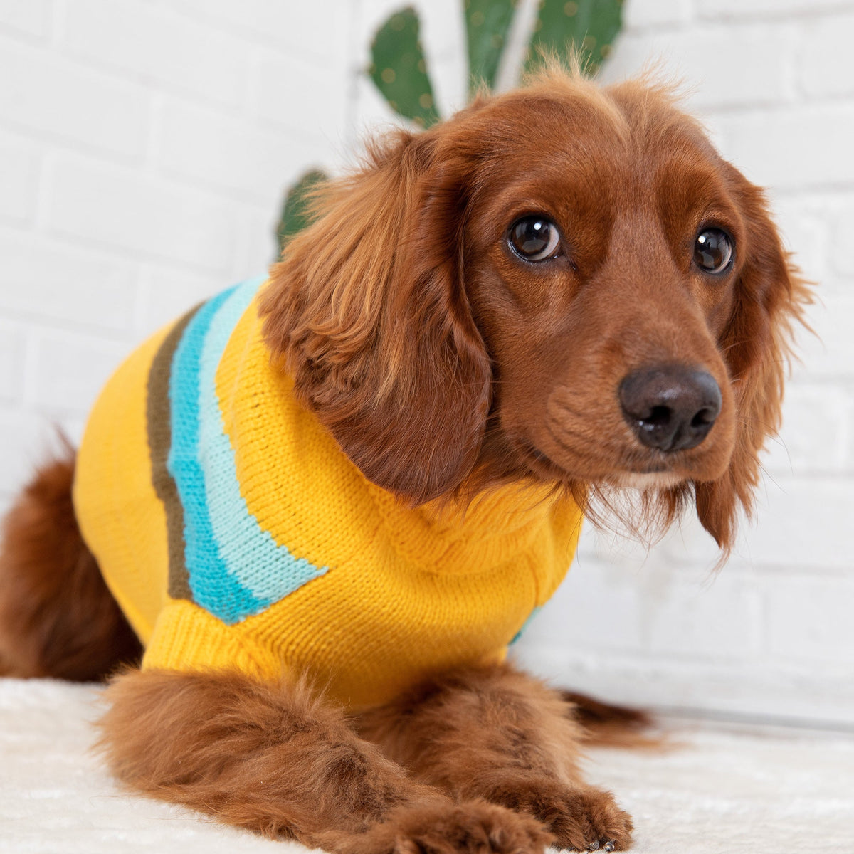 GF PET Alpine Dog Sweater - Yellow