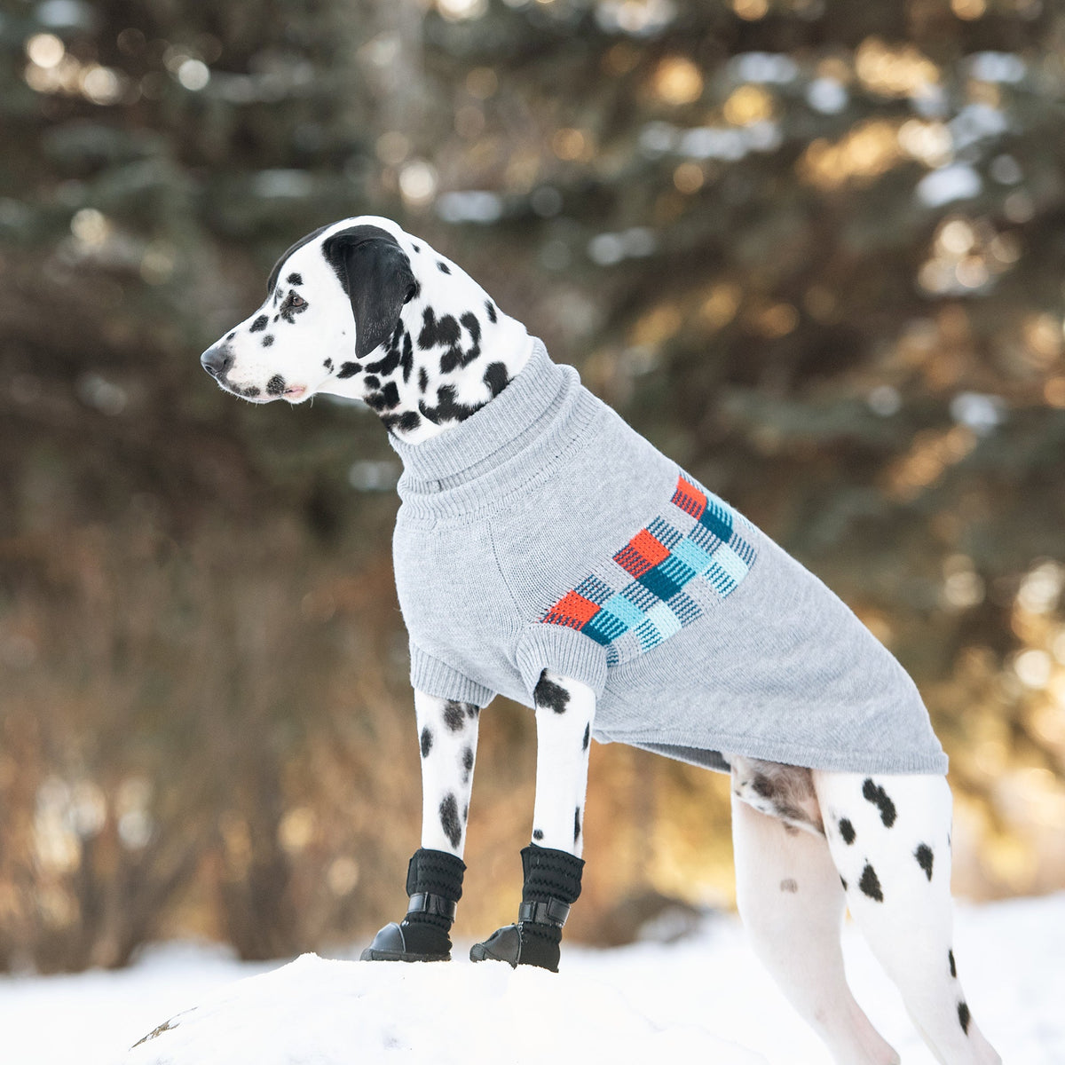 GF PET Winter Sailor Dog Sweater - Grey Mix