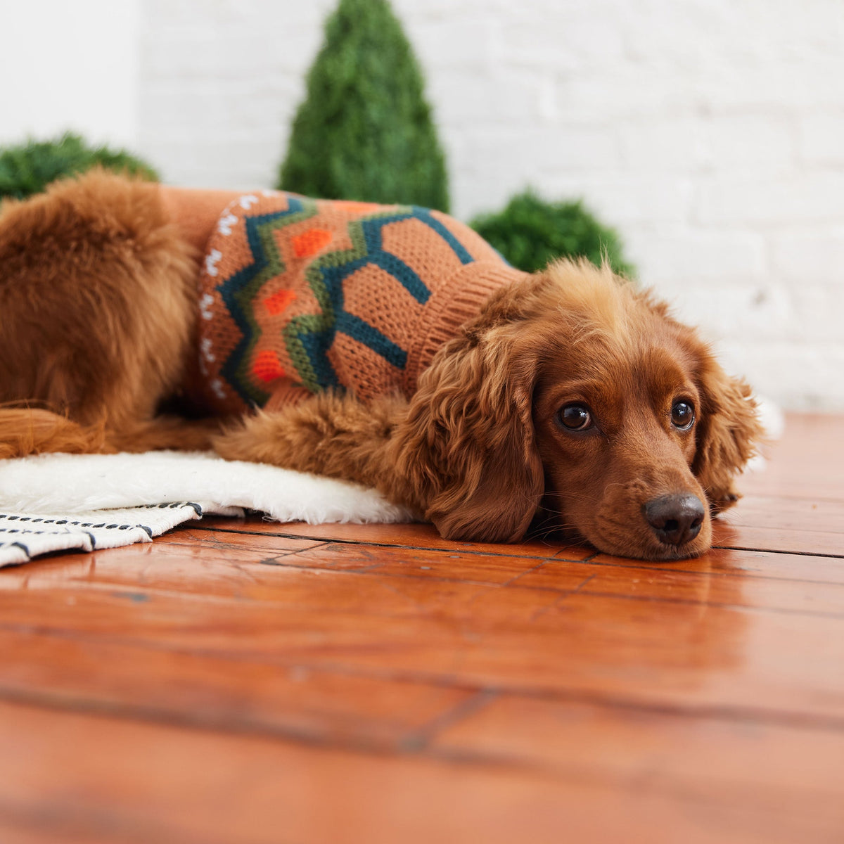 GF PET Heritage Dog Sweater - Hazel