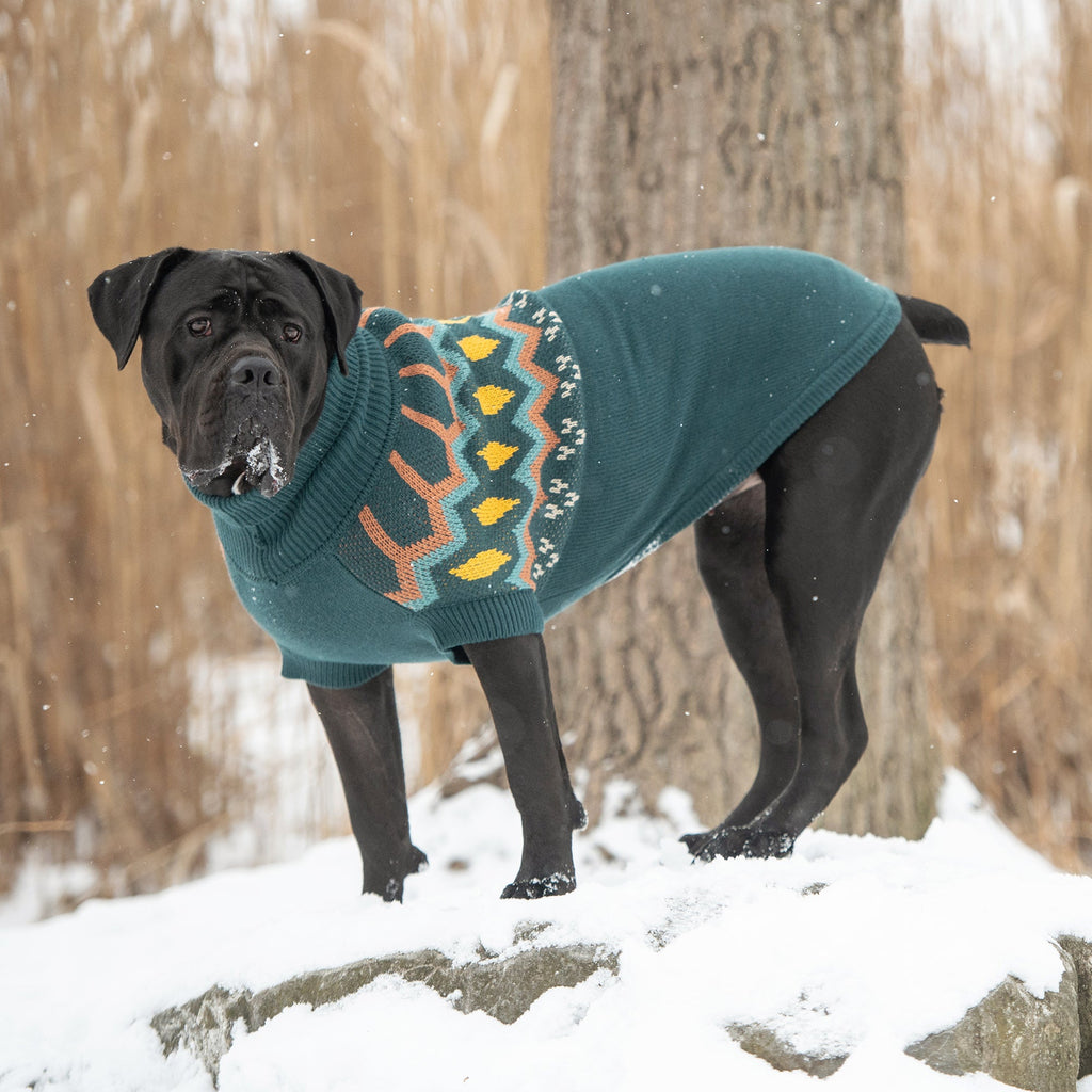 GF PET Heritage Dog Sweater - Teal