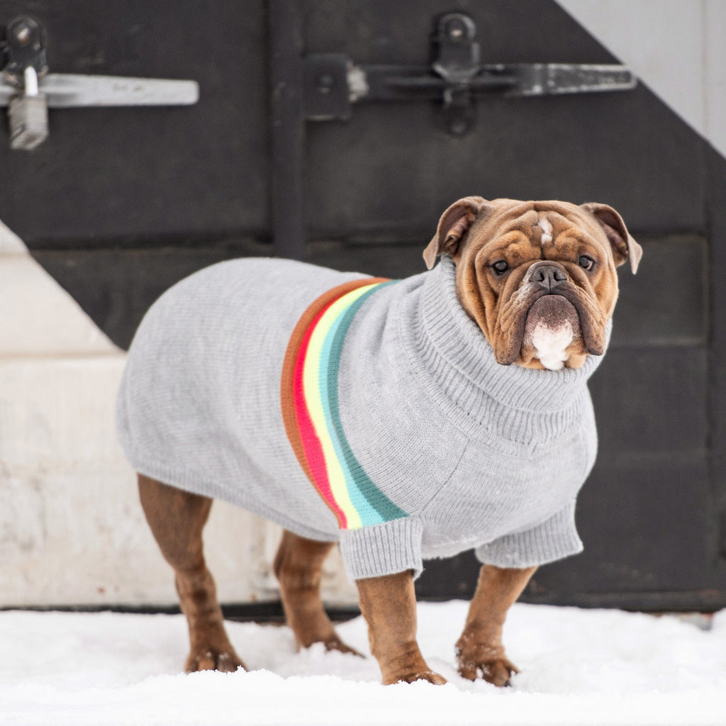 GF PET Retro Dog Sweater - Grey Mix