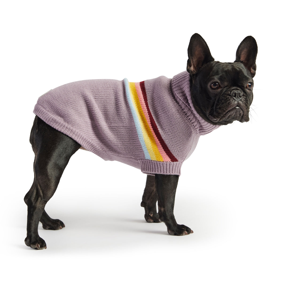 GF PET Retro Dog Sweater - Lavender