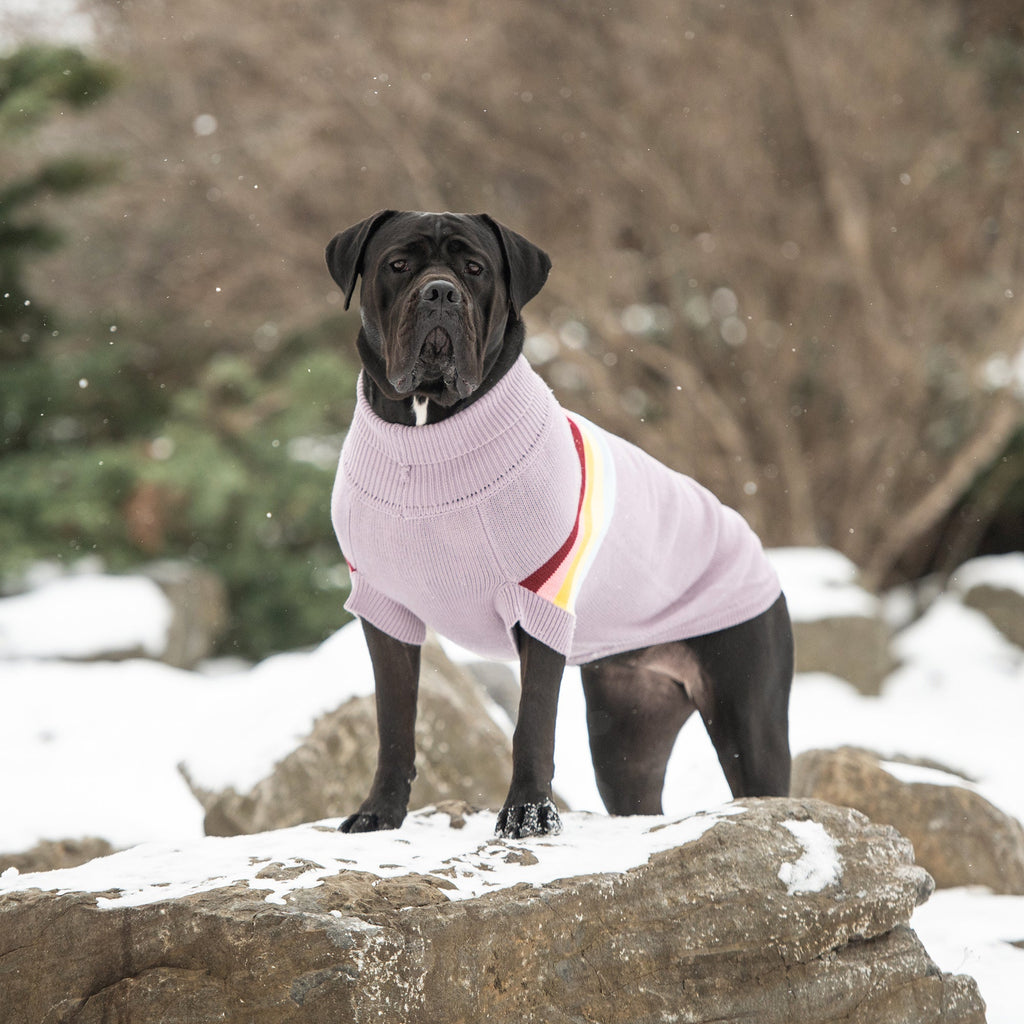 GF PET Retro Dog Sweater - Lavender