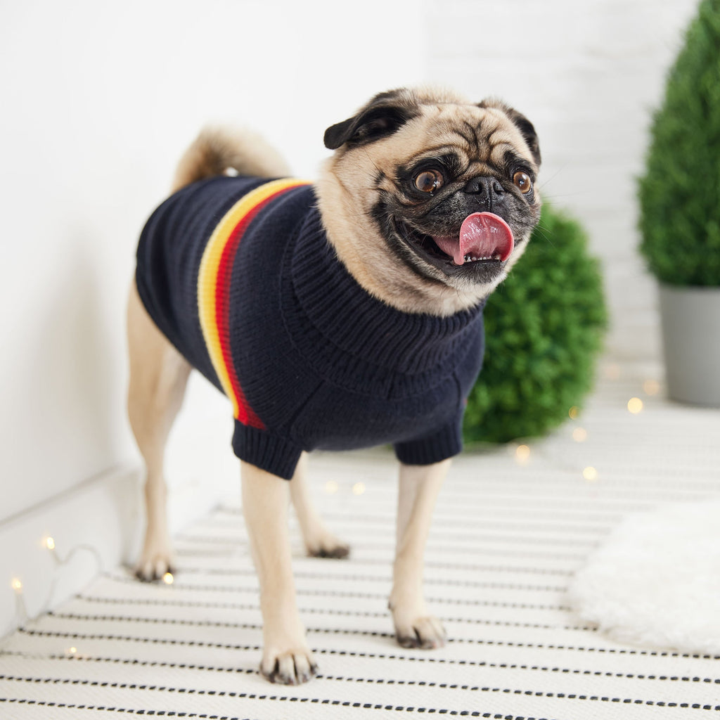 GF PET Retro Dog Sweater - Navy