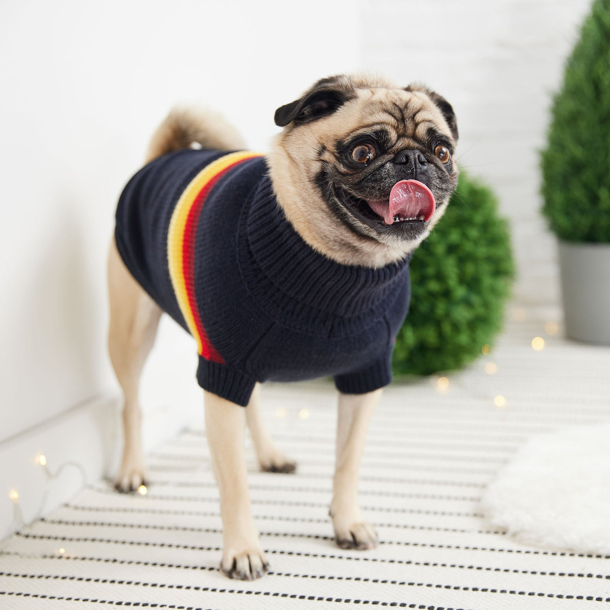 GF PET Retro Dog Sweater - Navy