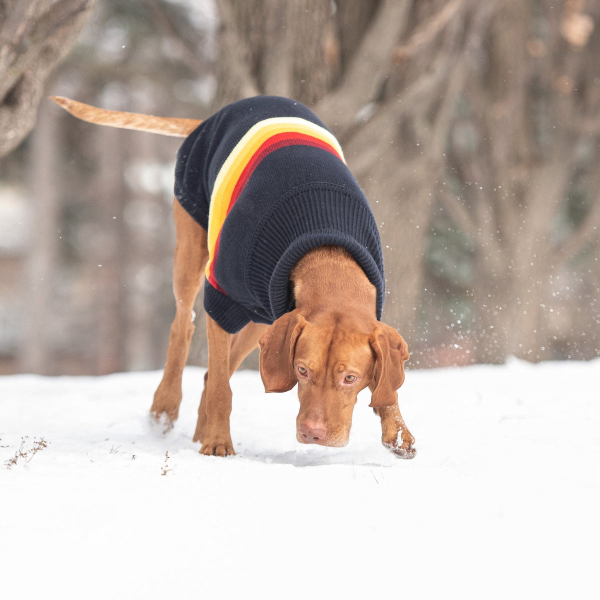 GF PET Retro Dog Sweater - Navy