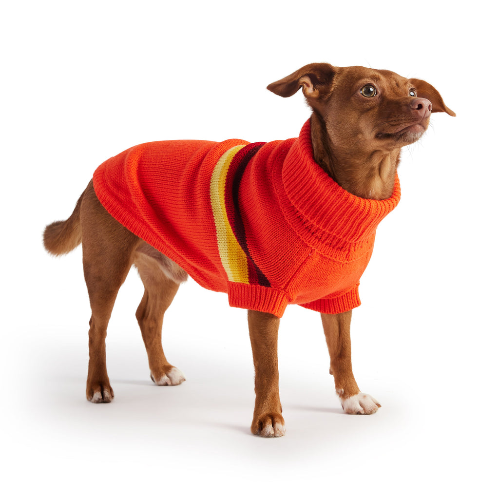 GF PET Retro Dog Sweater - Orange
