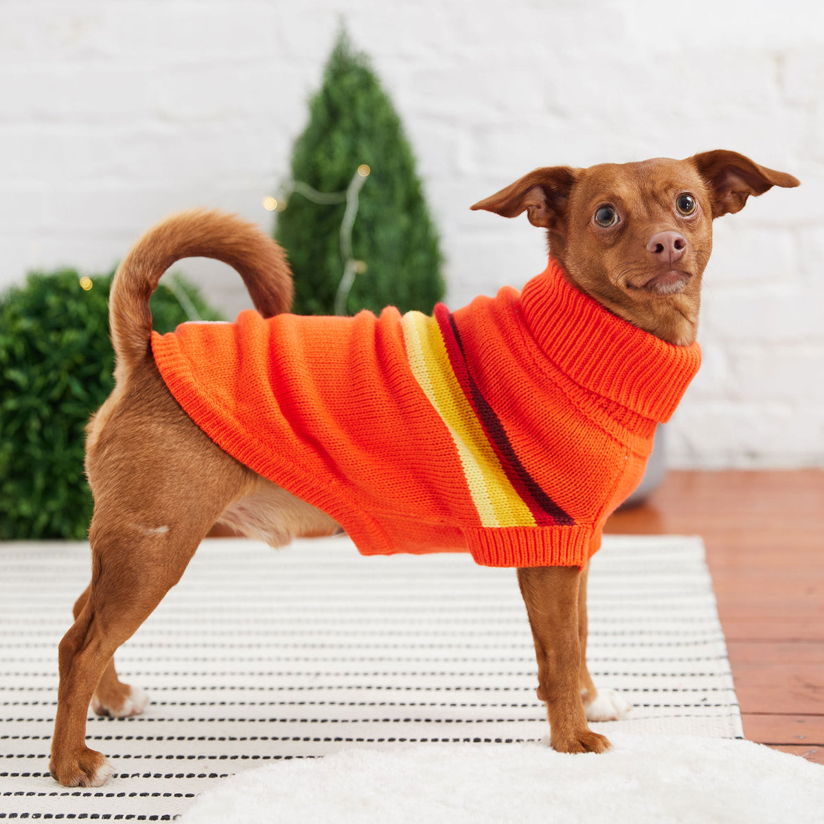 GF PET Retro Dog Sweater - Orange