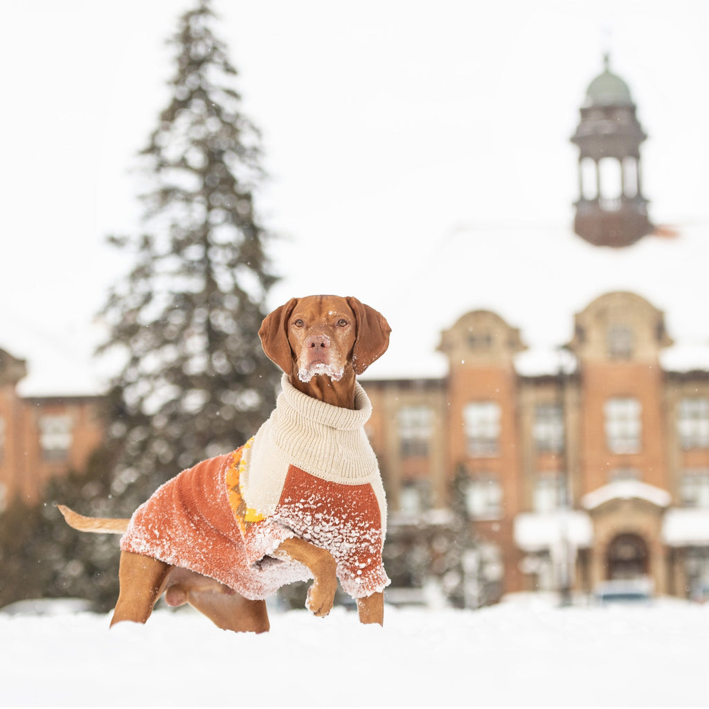 GF PET Fireside Dog Sweater - Chili