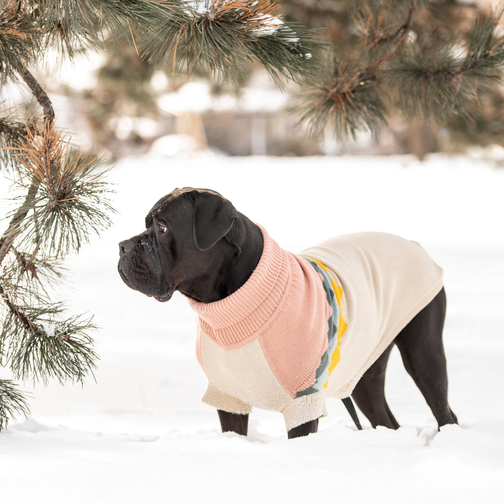 GF PET Fireside Dog Sweater - Clay