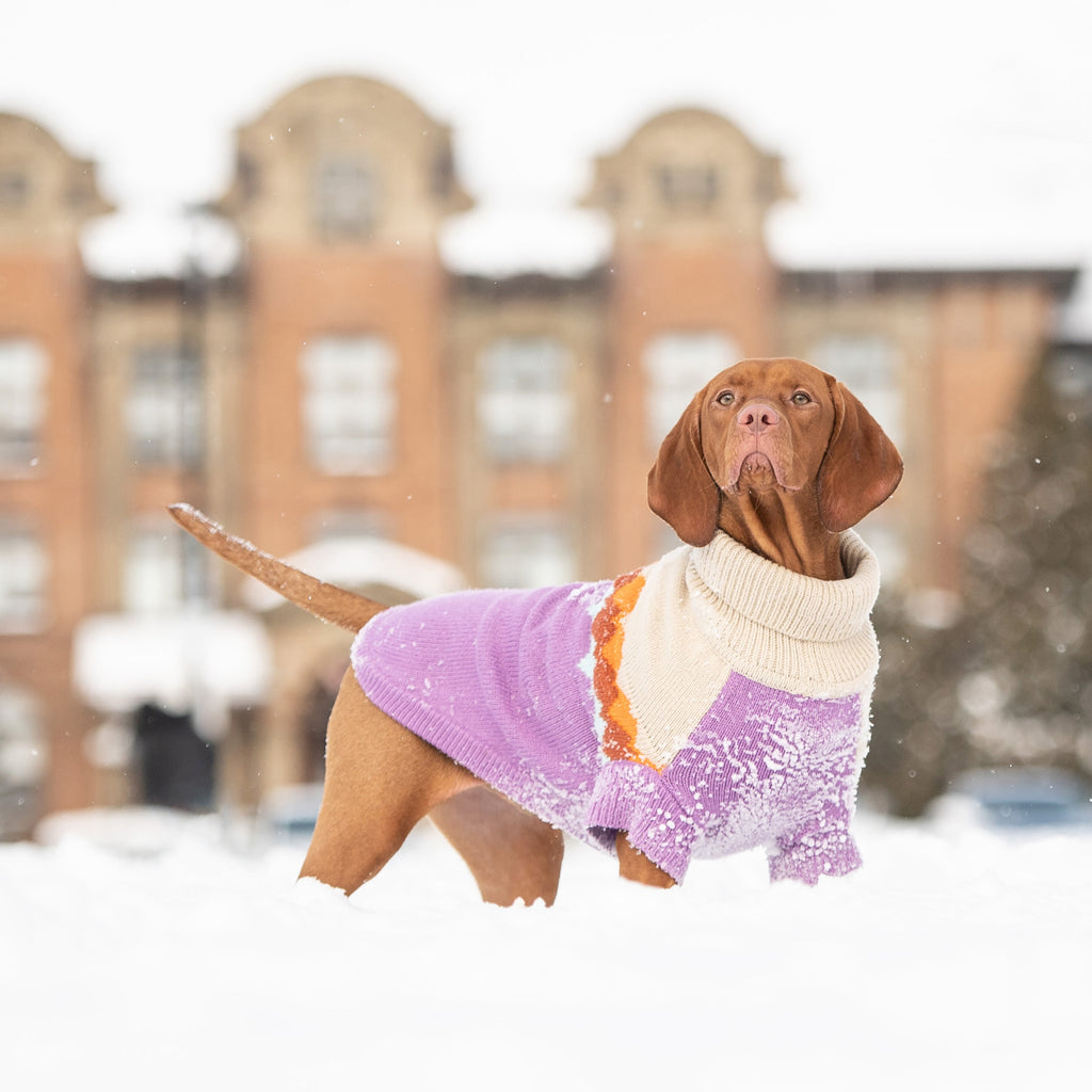 GF PET Fireside Dog Sweater - Purple